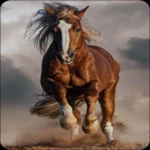 Logo of Horse Wallpapers android Application 