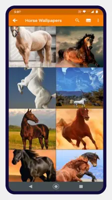 Horse Wallpapers android App screenshot 0