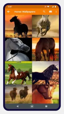 Horse Wallpapers android App screenshot 1