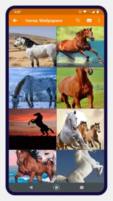 Horse Wallpapers android App screenshot 2