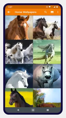 Horse Wallpapers android App screenshot 5